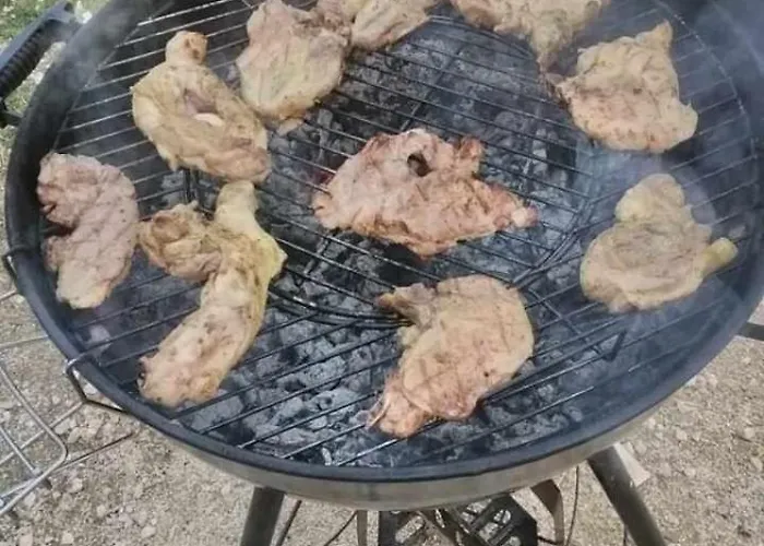 Tina Murvica (Policnik)